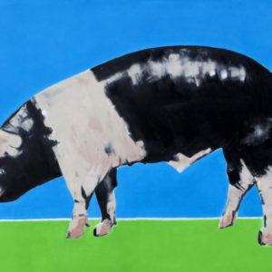 black-white-pig